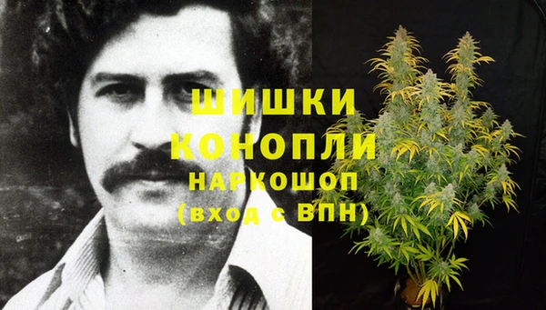 прущие грибы Балабаново