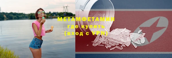 прущие грибы Балабаново