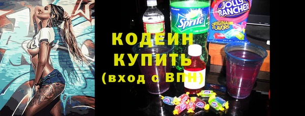прущие грибы Балабаново