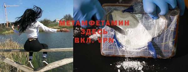 прущие грибы Балабаново