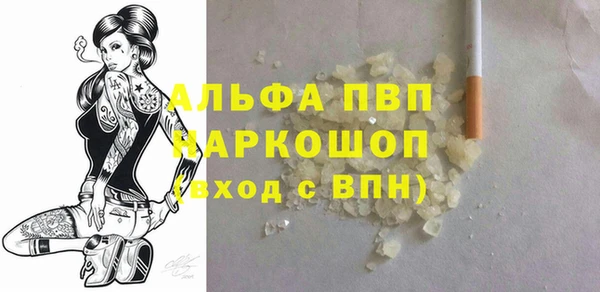 прущие грибы Балабаново