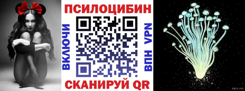 Купить  Унеча  Псилоцибиновые грибы мухоморы 